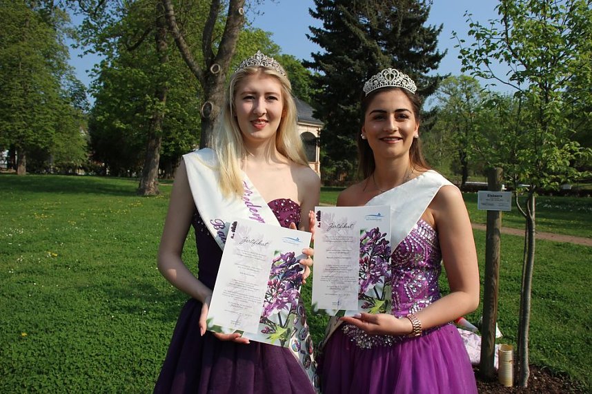 Gro&szlig;e Fliederbaumplanzaktion in Bad Frankenhausen