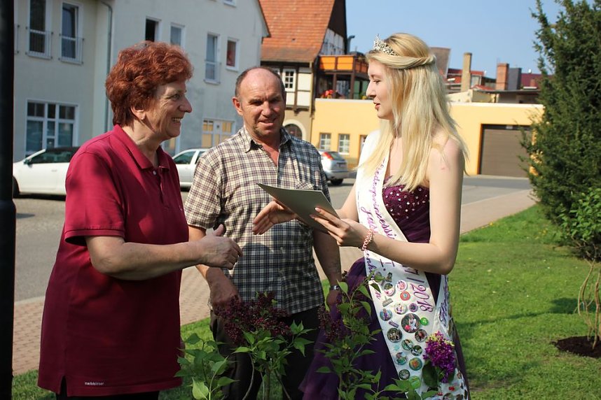 Gro&szlig;e Fliederbaumplanzaktion in Bad Frankenhausen