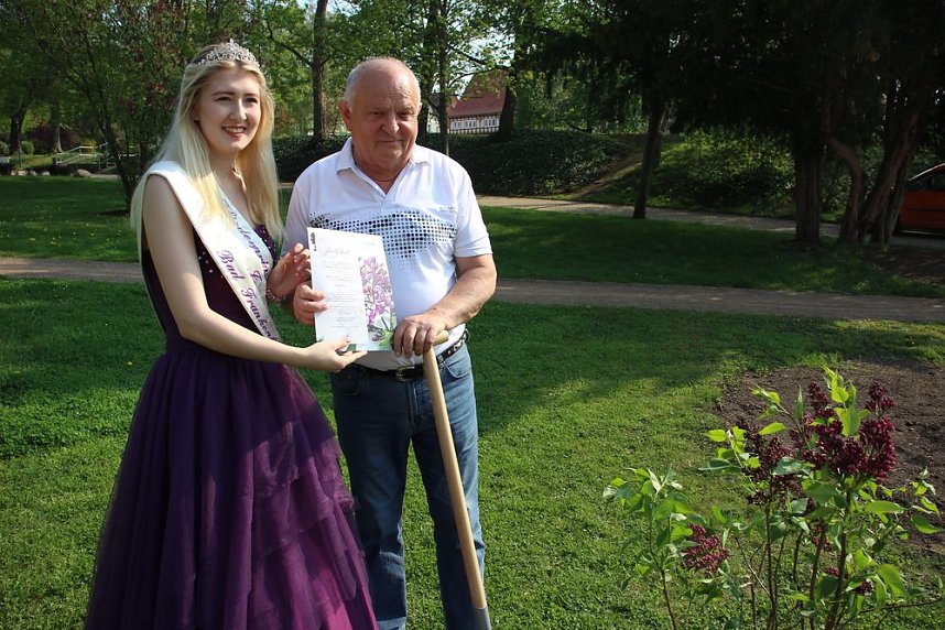 Gro&szlig;e Fliederbaumplanzaktion in Bad Frankenhausen