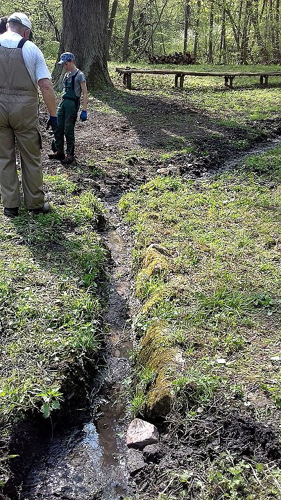 Rekordbeteiligung zum Fr&uuml;hjahrsputz 2018