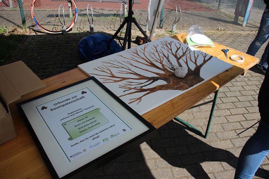 Wieder Wettergl&uuml;ck beim Baumfest
