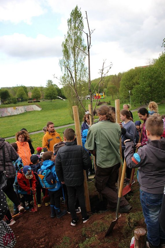 Wieder Wettergl&uuml;ck beim Baumfest