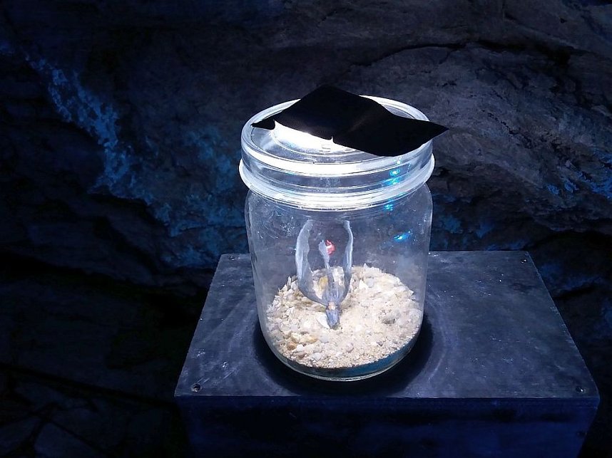 Lichterwelten in der Barbarossah&ouml;hle