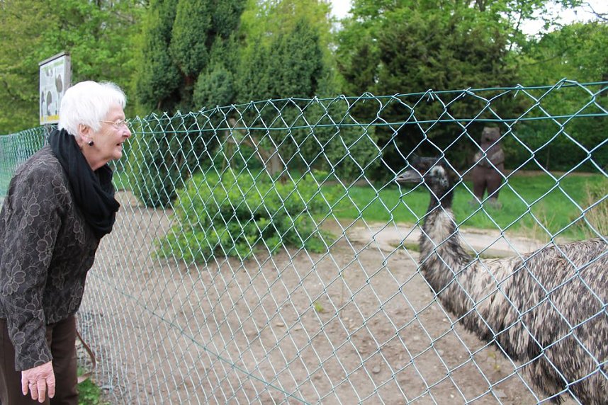 Eine Ausfahrt ins Gr&uuml;ne