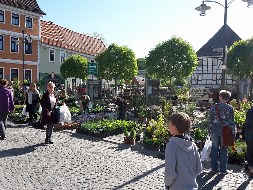 Eine F&uuml;lle an Pflanzen