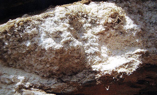 Wanderung zum Steinbruch R&ouml;se