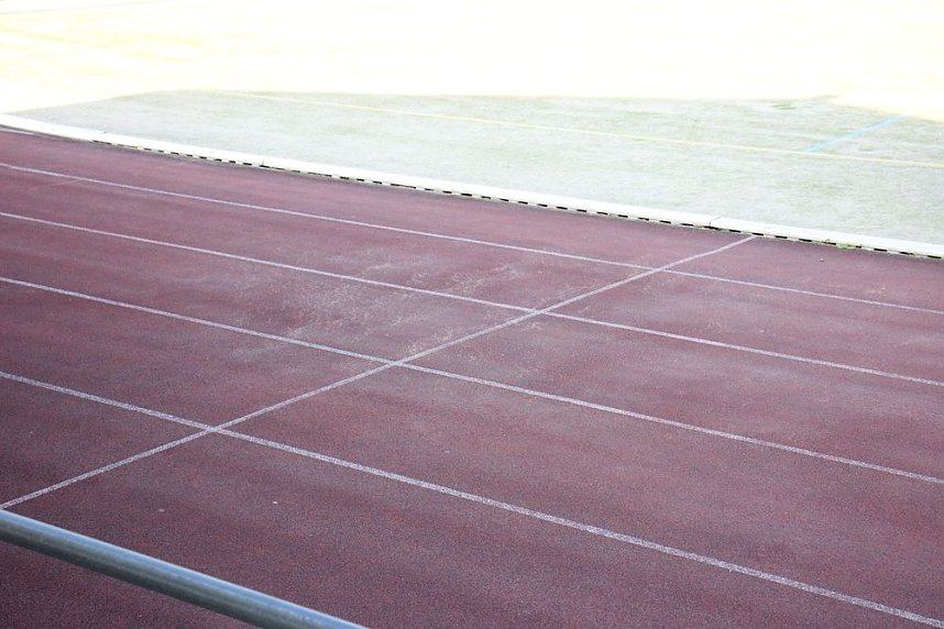 Die Leichtathleten begeisterten heute