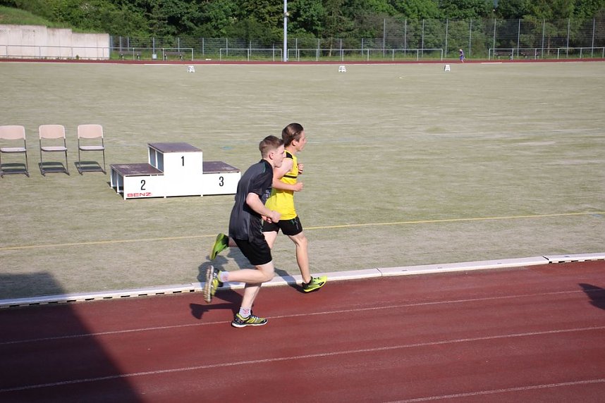 Die Leichtathleten begeisterten heute