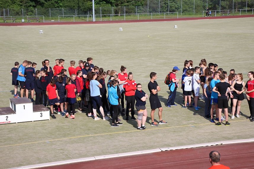 Die Leichtathleten begeisterten heute