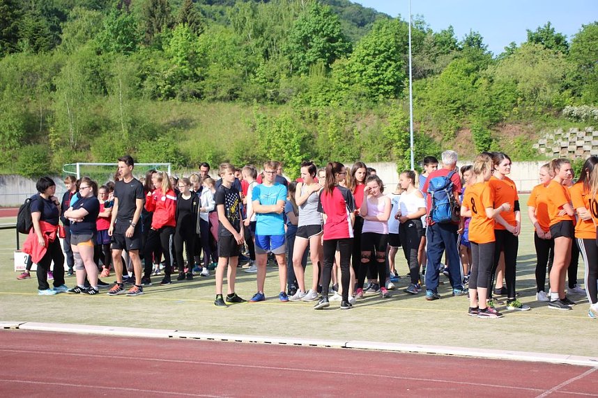 Die Leichtathleten begeisterten heute
