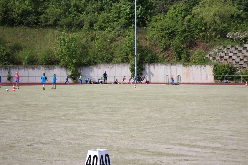 GS Franzbergschule bei Bundesjugendspielen