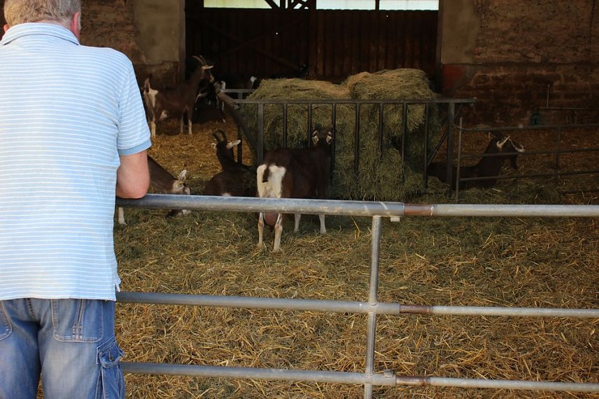 Massenansturm beim Hoffest in Greu&szlig;en