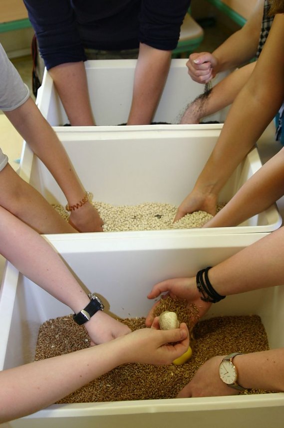 Tag des offenen Tores