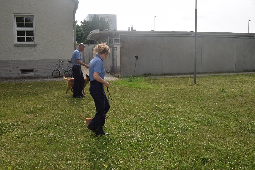 &Uuml;berraschungen zum Kindertag