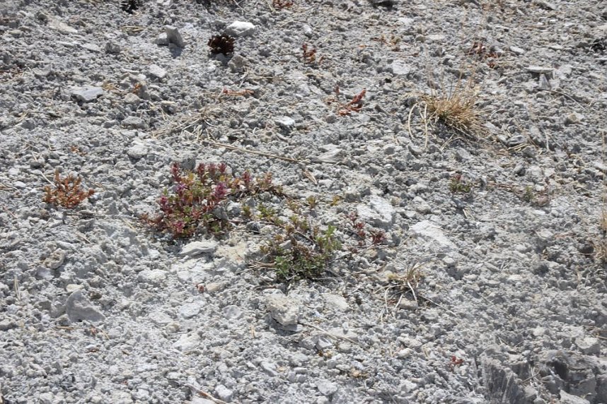 Das wird ein sch&ouml;ner Osterspaziergang 2019