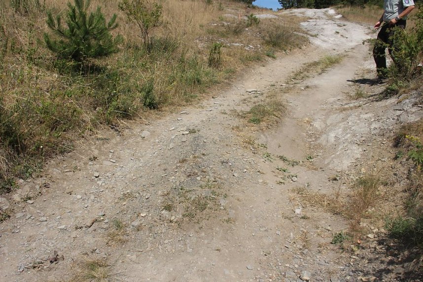 Das wird ein sch&ouml;ner Osterspaziergang 2019