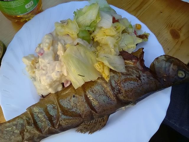 WB4 im Harz auf der Bode und in Harzk&ouml;hlerei unterwegs