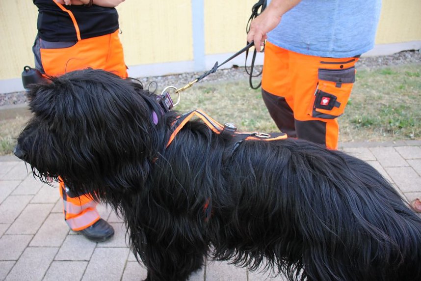 Rettungshunde in Sondershausen unterwegs