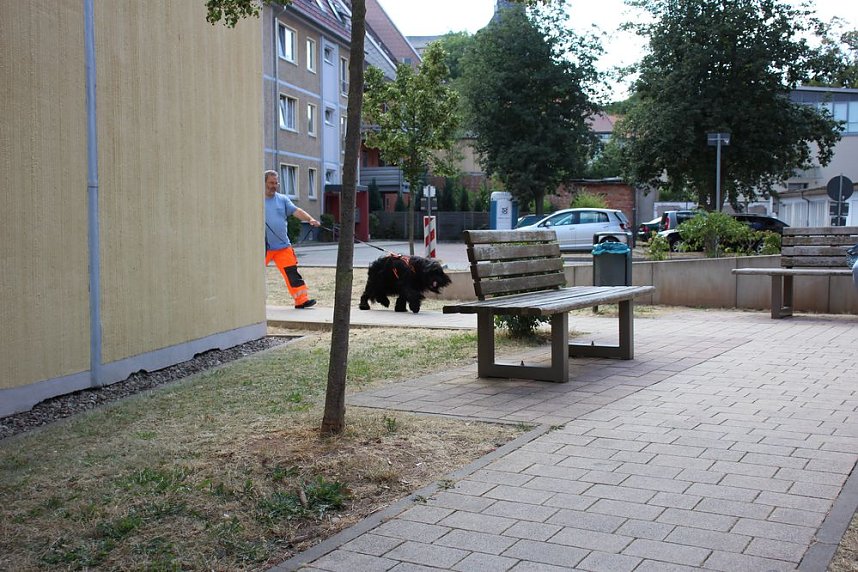 Rettungshunde in Sondershausen unterwegs