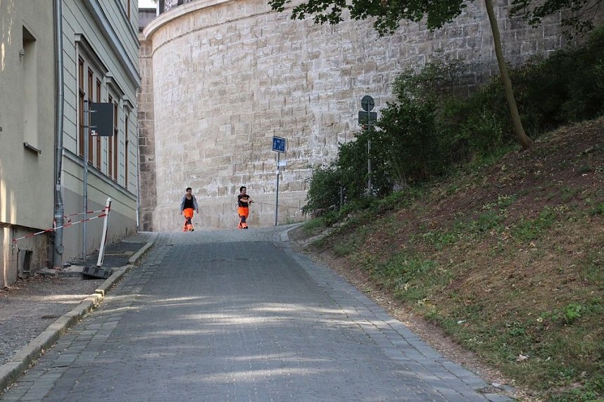 Rettungshunde in Sondershausen unterwegs