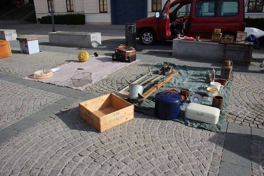 Fr&uuml;her Vogel macht das Schn&auml;ppchen