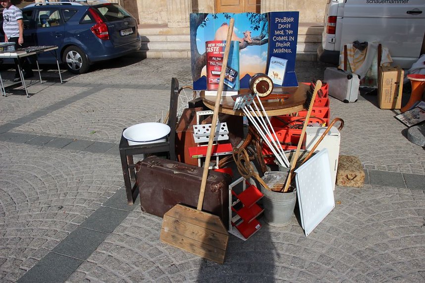 Fr&uuml;her Vogel macht das Schn&auml;ppchen