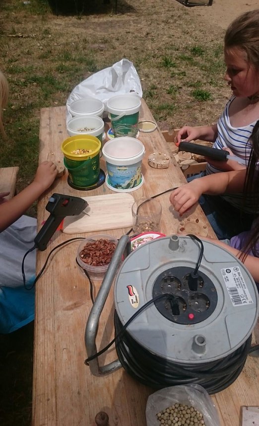 Auf dem Abenteuerspielplatz ist was los!