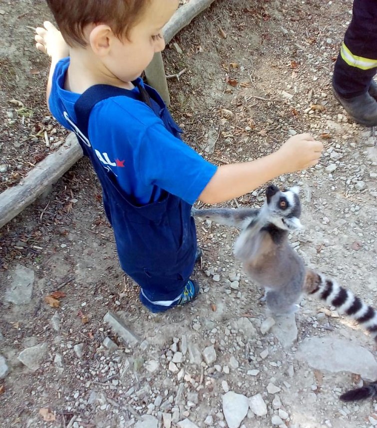 Ausbildung ganz anders