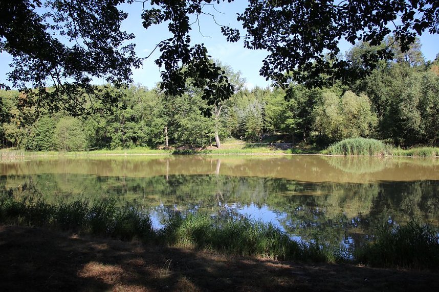 Wie sieht es am Pfaffenteich aus?