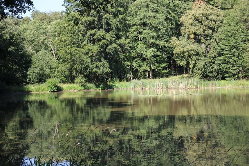 Wie sieht es am Pfaffenteich aus?