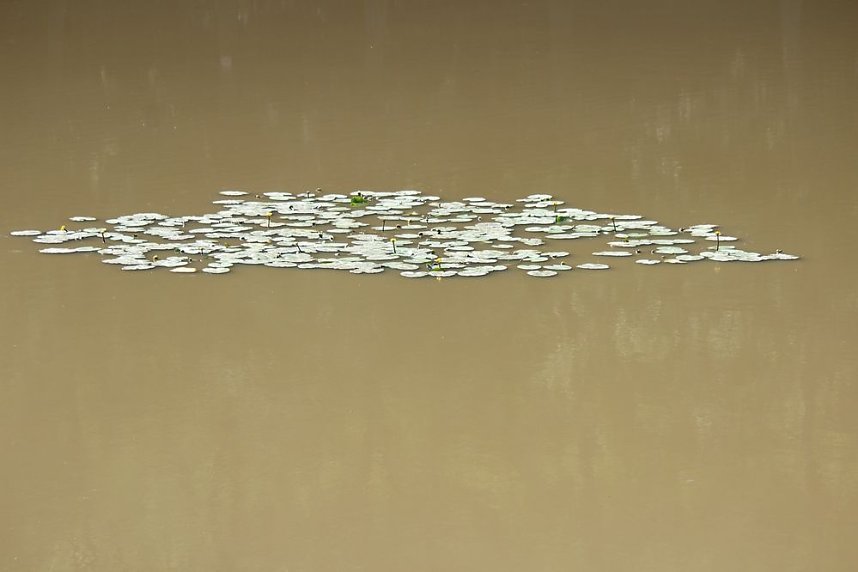 Wie sieht es am Pfaffenteich aus?