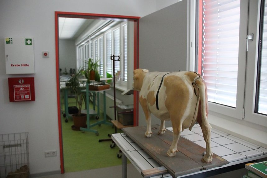 Ein exzellenter Schulneubau