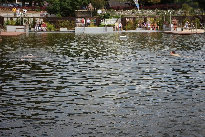 Erste Weltmeister im Brustr&uuml;ckw&auml;rtsschwimmen