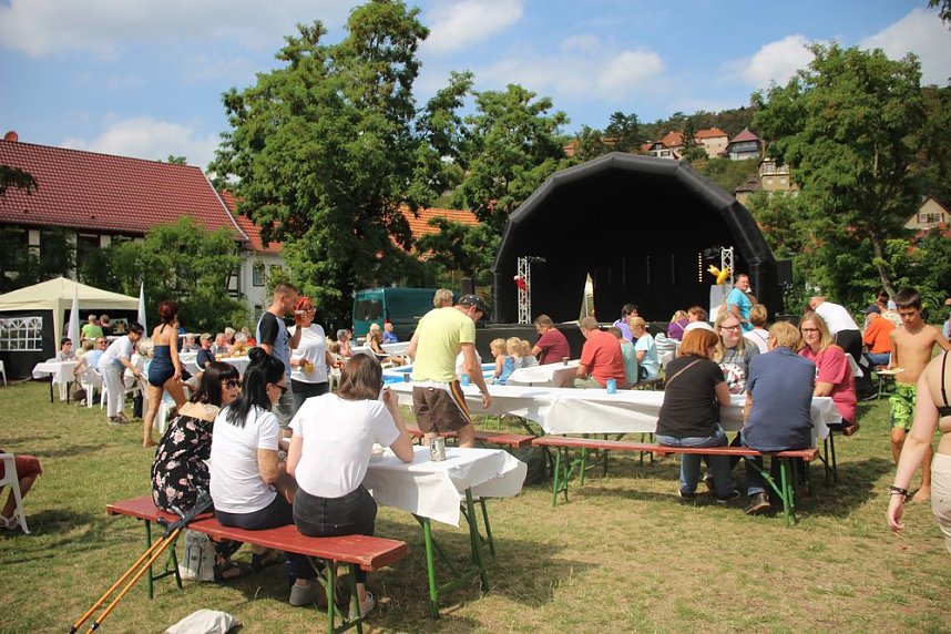 Erste Weltmeister im Brustr&uuml;ckw&auml;rtsschwimmen