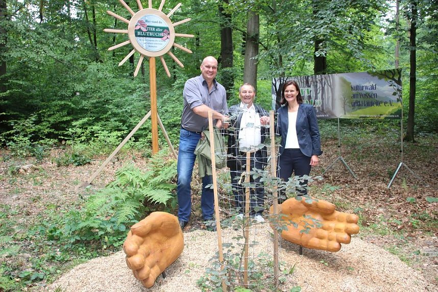Haben wir bald ein Blutbuchenk&ouml;nigin?