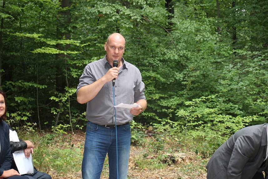 Haben wir bald ein Blutbuchenk&ouml;nigin?