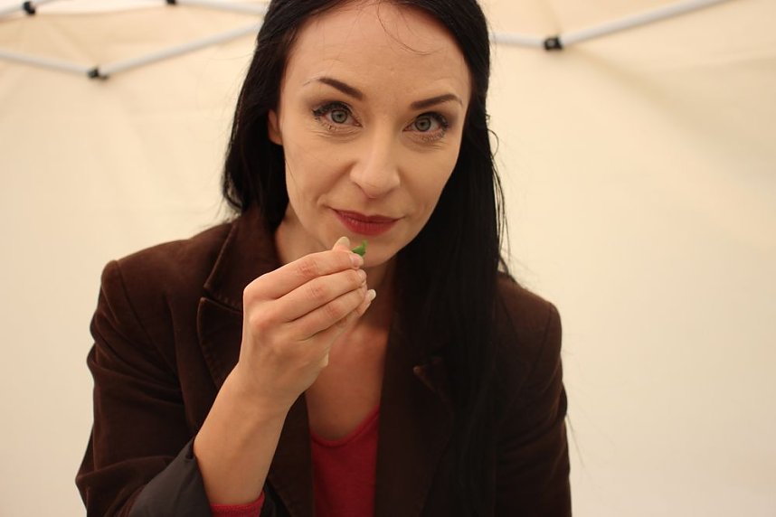 Sommerfest im Wohngebiet