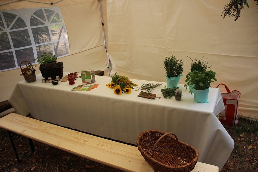 Sommerfest im Wohngebiet