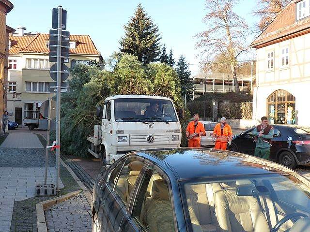 Weihnachtsbaum Sondershausen