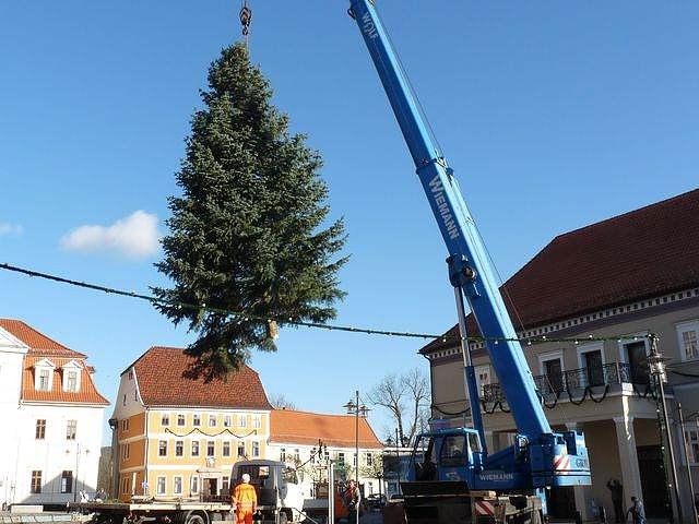 Weihnachtsbaum Sondershausen
