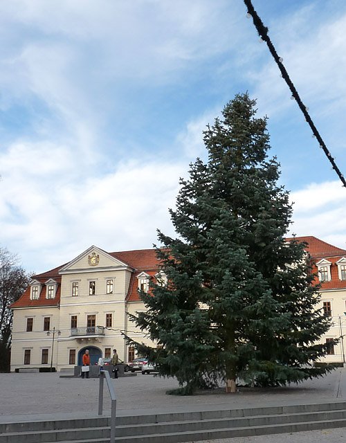 Weihnachtsbaum Sondershausen