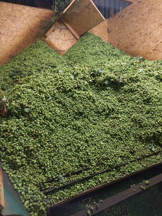 Interessante Reise zur Grundlage unseres Bieres