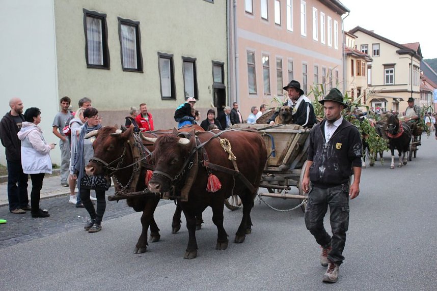 Bauernheer eroberte Bad Frankenhausen