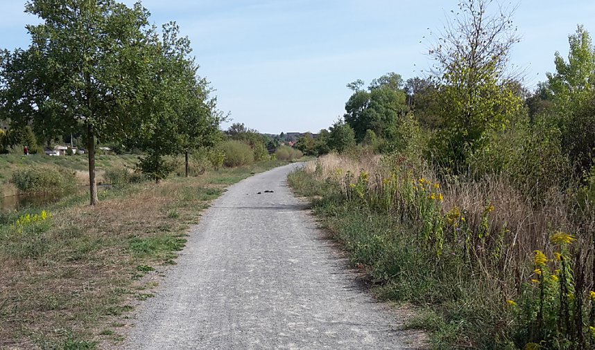 Von &Auml;pfeln und Pferde&auml;pfeln