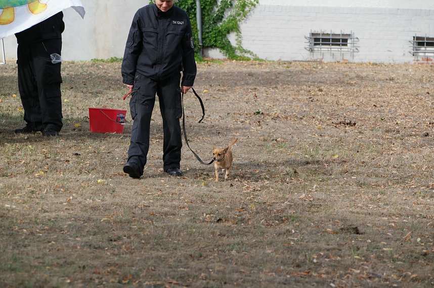 Tag der offenen T&uuml;r bei der Landespolizeiinspektion NOrdhausen