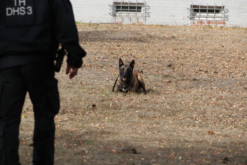 Tag der offenen T&uuml;r bei der Landespolizeiinspektion NOrdhausen