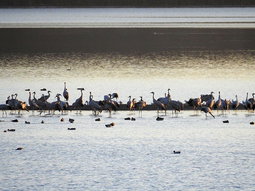 Die Vorboten flogen an