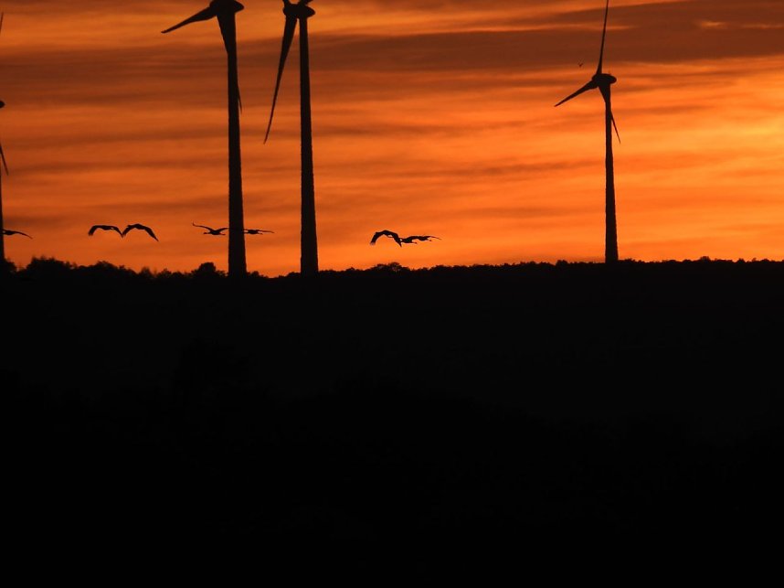 Die Vorboten flogen an