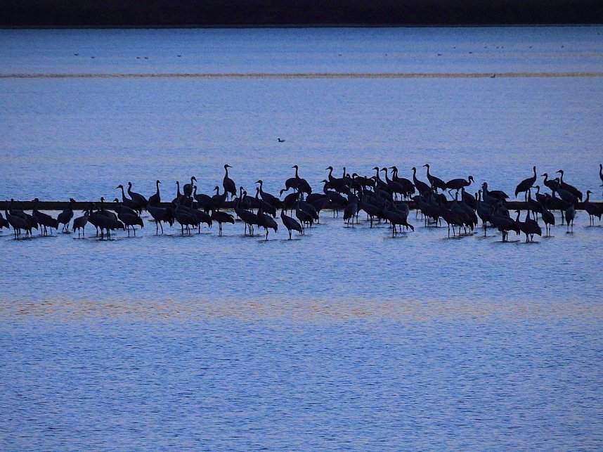 Die Vorboten flogen an