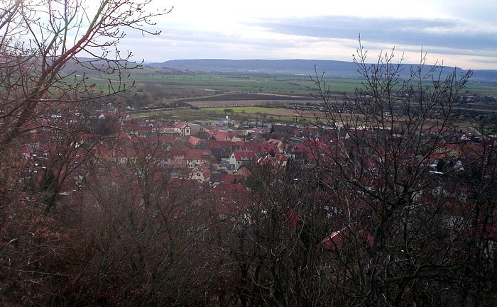 Aussichtsturm Artern